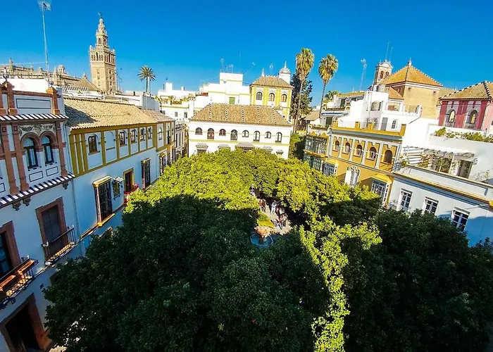 Apartamento Plaza De Dona Elvira 8