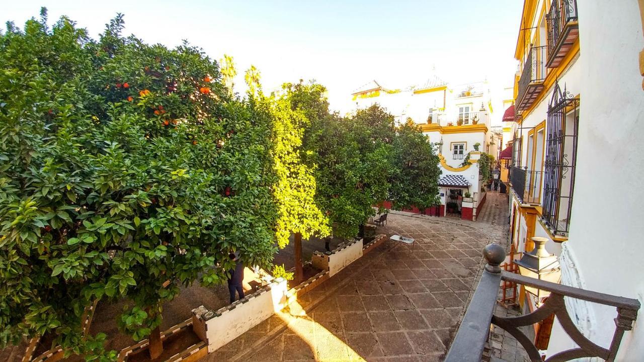 Apartment Plaza De Dona Elvira 8 *